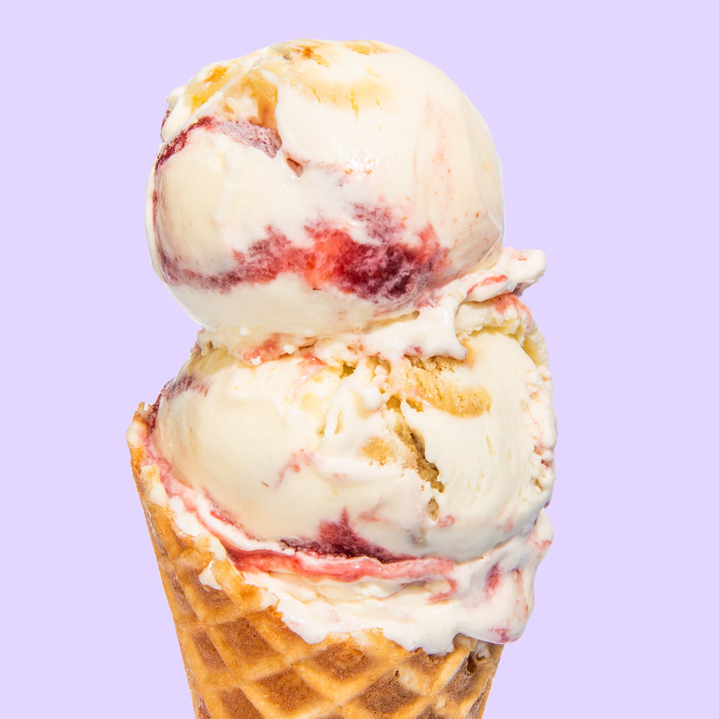 Powdered Jelly Donut Pint Jeni's Splendid Ice Creams   